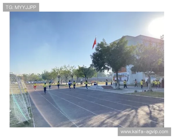 利用K8体育厅进行体育知识普及和青少年体育教育的有效途径