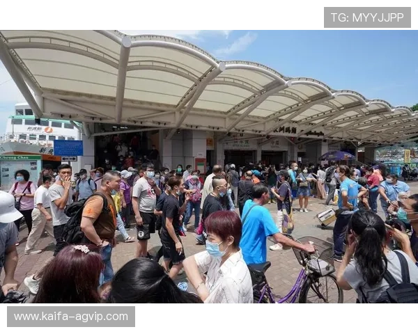 新手必读K8凯发官网app注册流程与账号安全保护措施